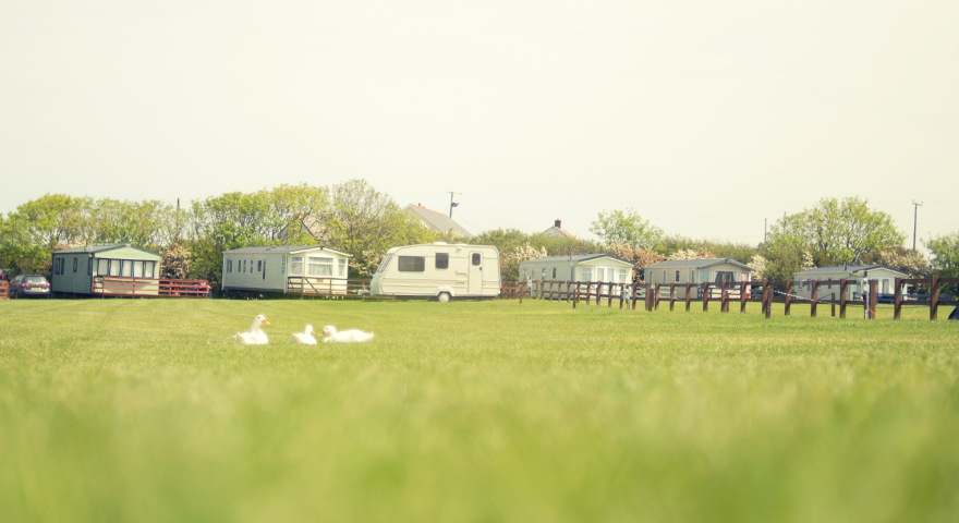 Camping Mwnt Cardigan Bay