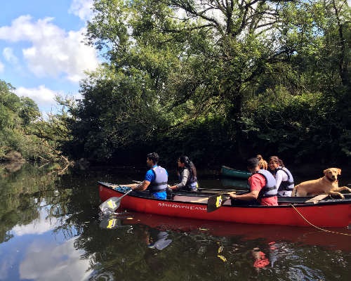 Canoe along the River Teifi