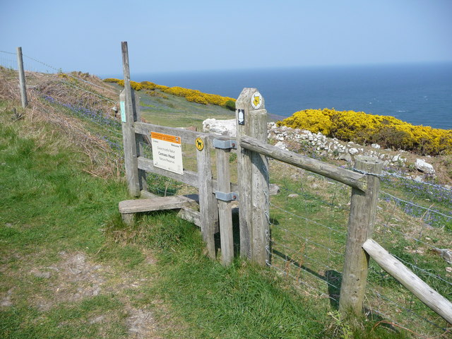 Cemaes Head By Jeremy Bolwell