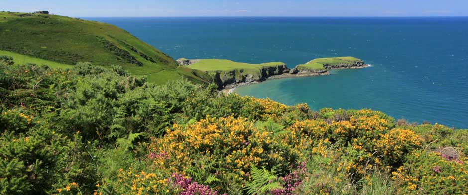 Cardigan Bay Coast and Country Visitor Information