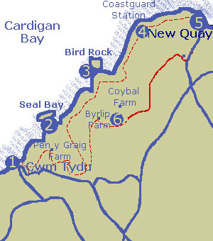 Coast Walk Cwmtydu to New Quay 