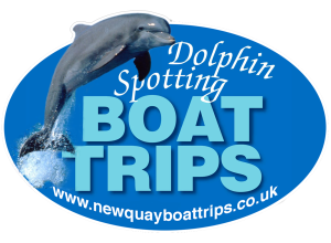 New Quay Dolphin Spotting Boat Trips