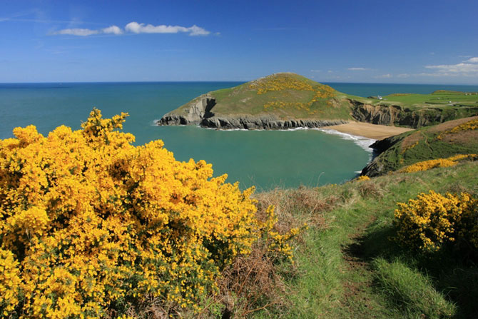 Mwnt Beach Cardigan Bay by Janet Baxter