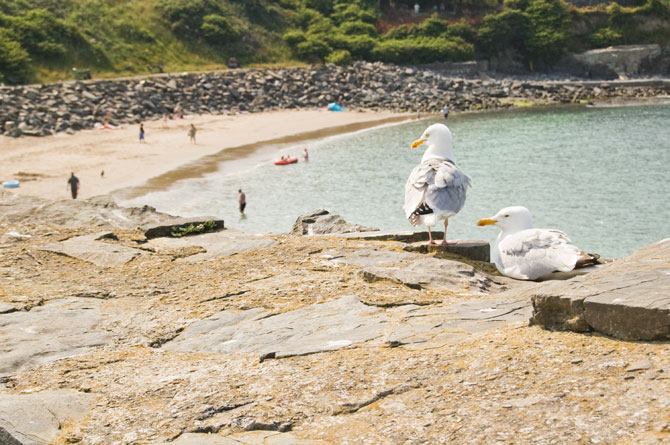 New Quay beach Cardigan Bay