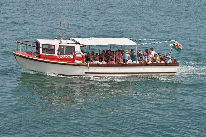 New Quay Boat Trips