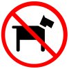 no dogs allowed