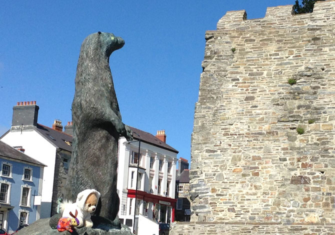 The Cardigan Otter admiring Cardigan Castle The Cardigan Otter admiring Cardigan Castle