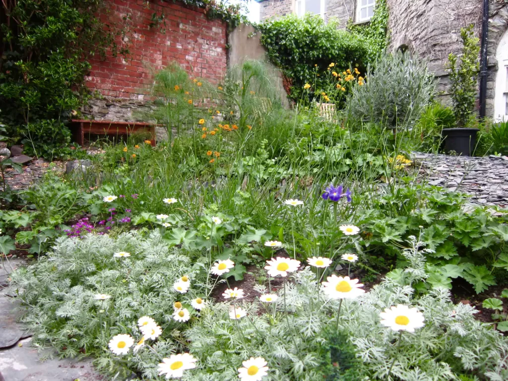 Shared walled garden Shared walled garden