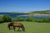 St Dogmaels holiday cottages