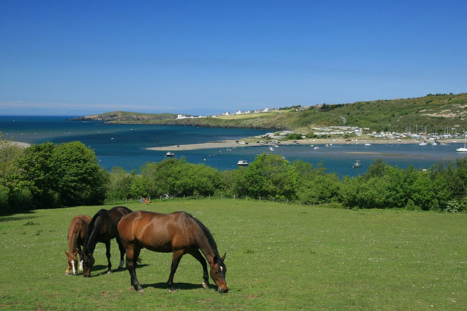 Poppit and Gwbert from St Dogmaels across the Teifi by Janet Baxter