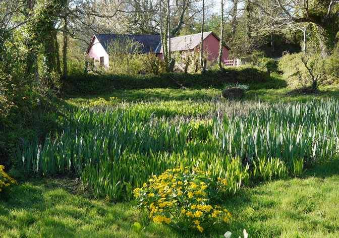Property for Sale Cardigan Bay west Wales