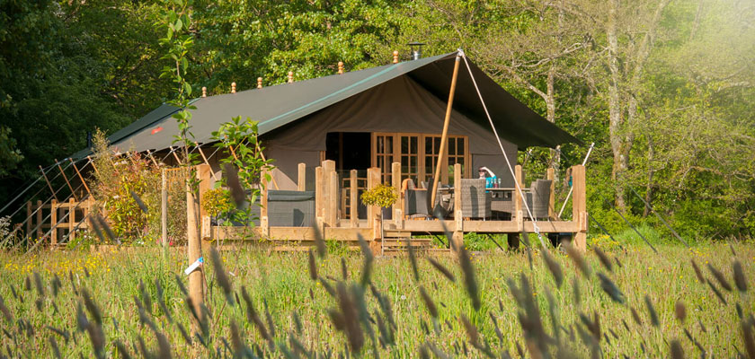 Safari tent glamping Cardigan Bay