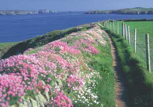 Explore and Discover Cardigan Bay Explore and Discover Cardigan Bay