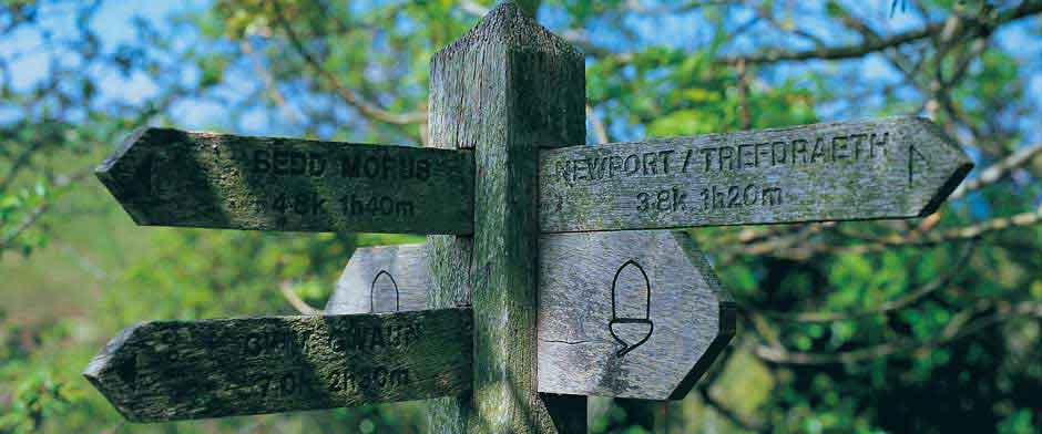 Explore Cardigan Bay and discover the beaches and footpaths