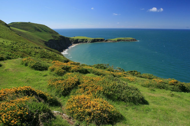 Ynys Lochtyn headland a short walk from Llangrannog