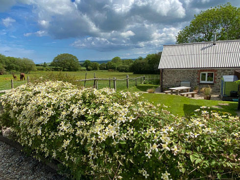 Garden and setting Holiday Cottage St Dogmaels