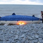 Aberaeron Mackerel Fiesta