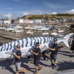 Aberaeron Mackerel Fiesta