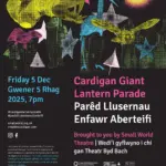 Festival of Light Cardigan 2025