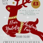 Cardigan Castle Christmas Fair 2023
