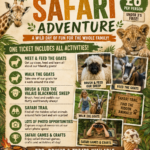 Safari Adventure at Felin Geri
