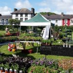 Aberaeron Garden, Craft & Food Festival