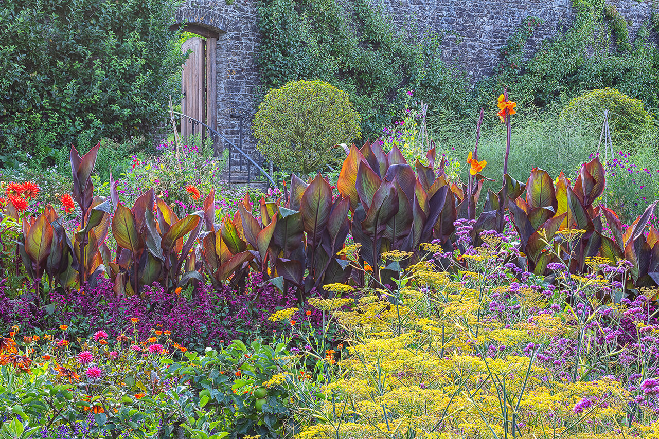 Aberglasney Gardens