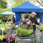 Plant Market at Cae Hir