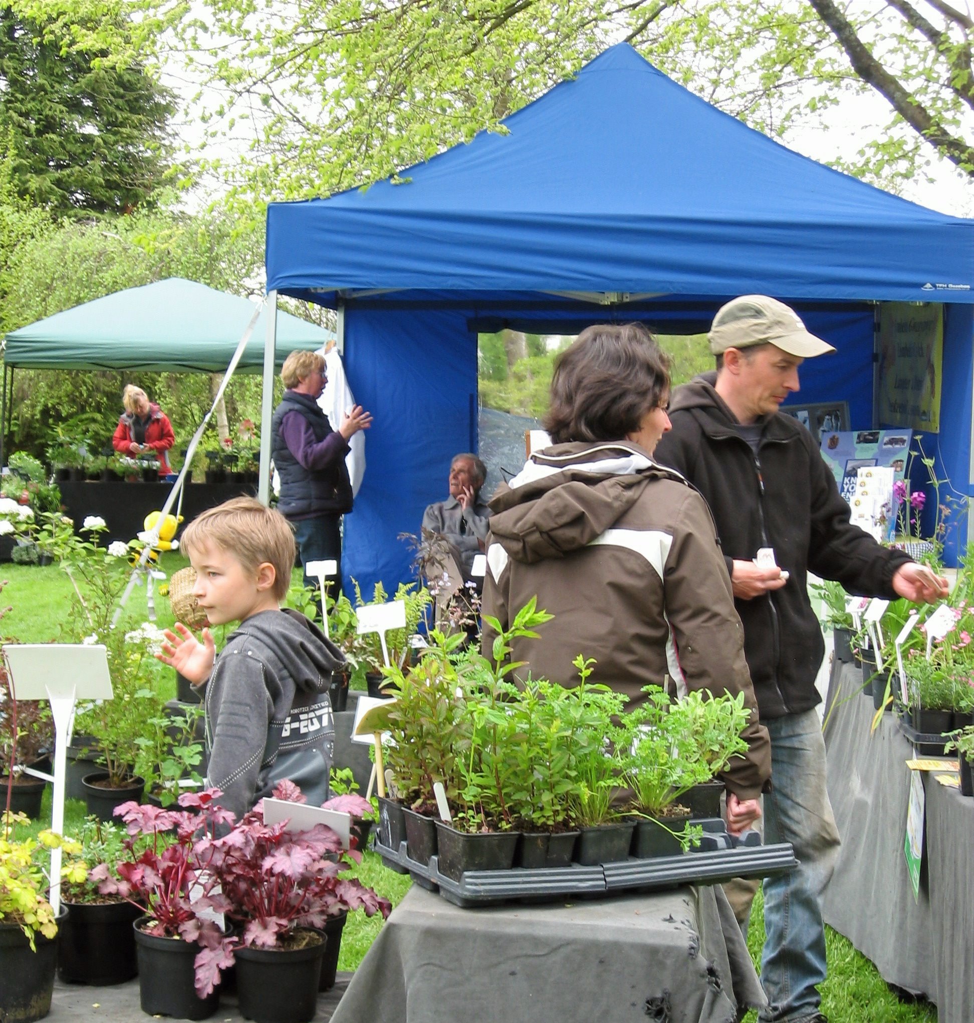 Plant Market at Cae Hir