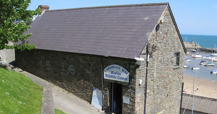 Cardigan Bay Marine Wildlife Centre