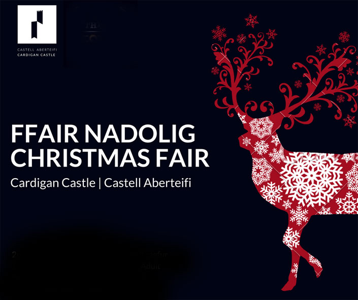 Cardigan castle Christmas Fair