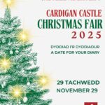 Cardigan Castle Christmas Fair