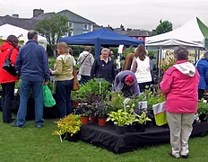 Ceredigion Garden and Craft Festival