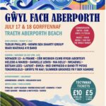 Gŵyl Fach Aberporth