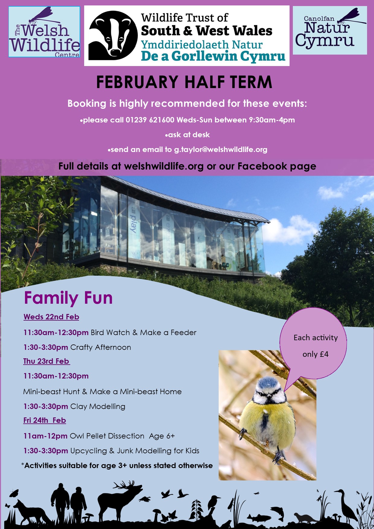 Half Term at the Welsh Wildlife Centre
