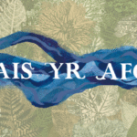 Llais yr Afon festival in Cenarth