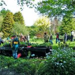 Plant Fairs and Open Garden Events