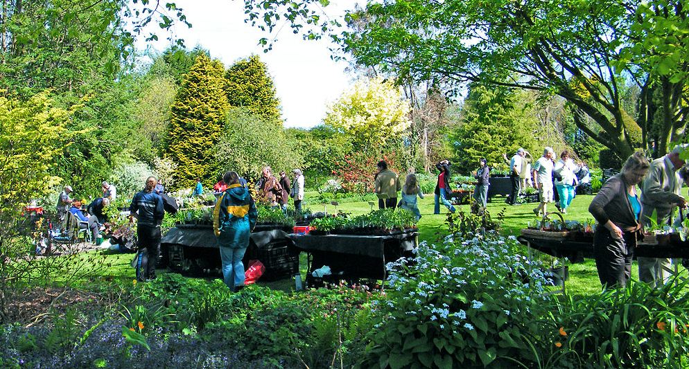 Plant Fairs and Open Garden Events