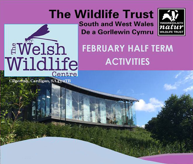 Half term activities for children