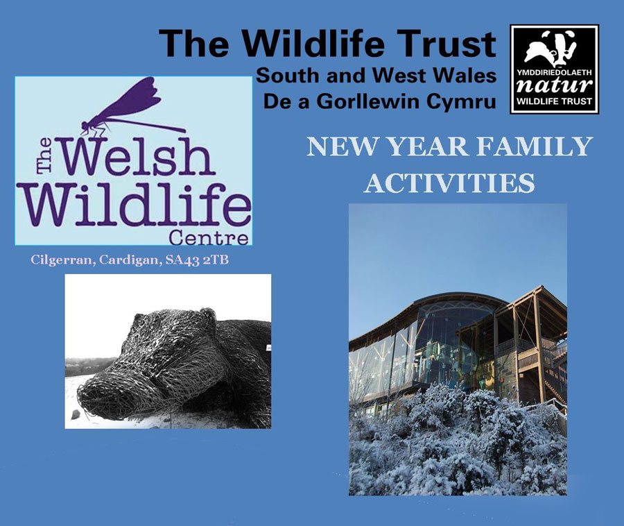 New Year at the Welsh Wildlife Centre